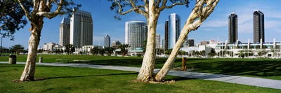 Embarcadero Marina Park, San Diego, California, USA by Panoramic Images acrylic art print