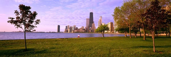 Chicago Skylines: Trees in a park with lake and buildings in the background, Lincoln Park, Lake Michigan, Chicago, Illinois, USA by Panoramic Images