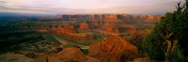 Canyons: Canyonlands National Park As Seen From Dead Horse Point State Park Overlook by Panoramic Images