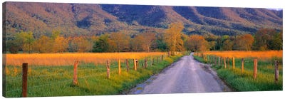 Road At Sundown, Cades Cove, Great Smoky Mountains National Park, Tennessee, USA Canvas Art Print - Great Smoky Mountains National Park