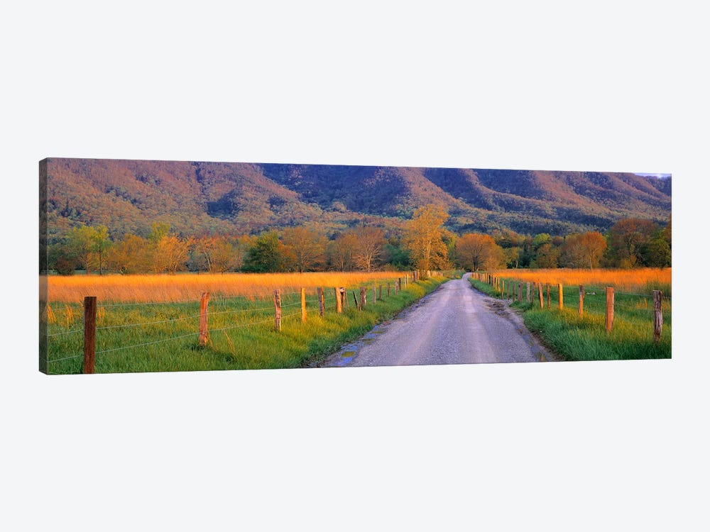 Road At Sundown, Cades Cove, Great Smoky Mountains National Park, Tennessee, USA by Panoramic Images 1-piece Canvas Artwork