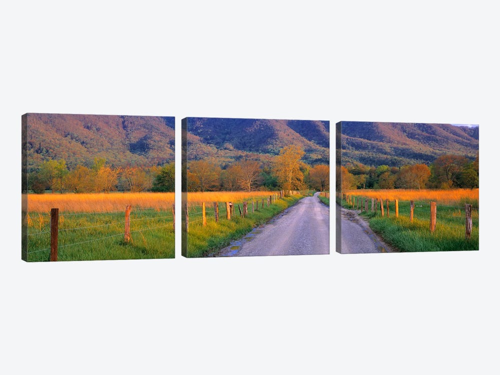Road At Sundown, Cades Cove, Great Smoky Mountains National Park, Tennessee, USA by Panoramic Images 3-piece Canvas Artwork