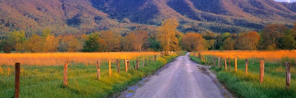 Photography: Road At Sundown, Cades Cove, Great Smoky Mountains National Park, Tennessee, USA by Panoramic Images