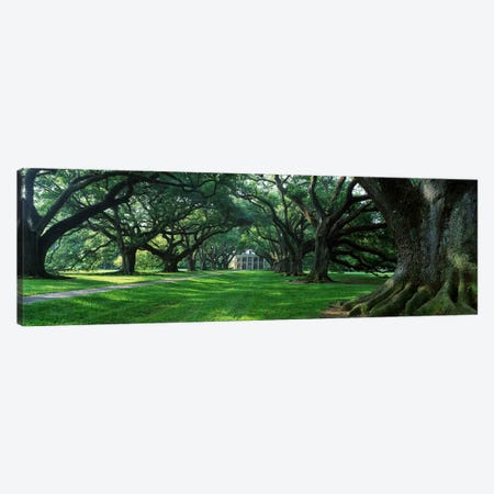USA, Louisiana, New Orleans, Oak Alley Plantation, plantation home through alley of oak trees Canvas Print #PIM4142} by Panoramic Images Canvas Art