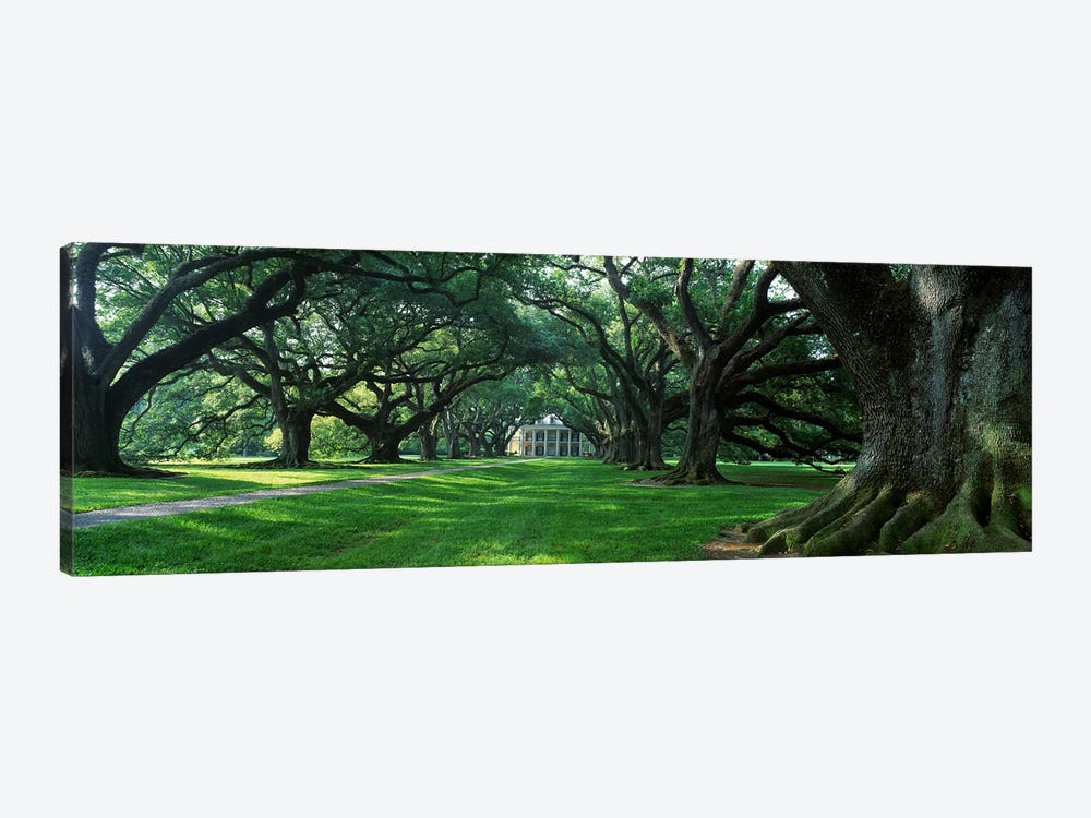 USA, Louisiana, New Orleans, Oak Alley Plantation, plantation home through alley of oak trees by Panoramic Images 1-piece Canvas Art Print