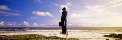 Businessman On A Ladder Looking Through Binoculars On A Beach, California, USA by Panoramic Images canvas print