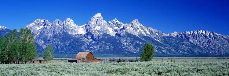 John Moulton Barn, Mormon Row, Grand Teton National Park, Jackson Hole, Wyoming, USA by Panoramic Images wall art