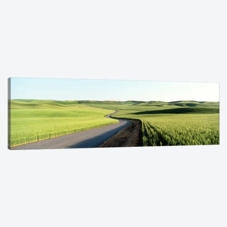 Gravel Road Through Barley and Wheat Fields WA Canvas Print #PIM4151} by Panoramic Images Canvas Art Print