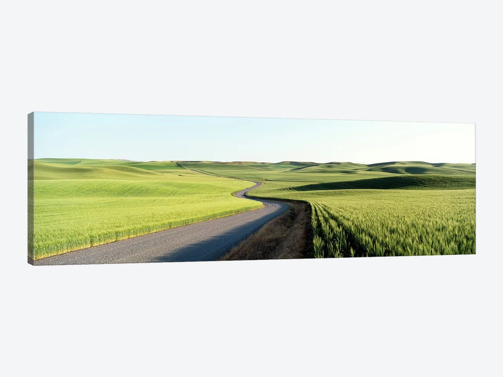 Gravel Road Through Barley and Wheat Fields WA by Panoramic Images 1-piece Canvas Print