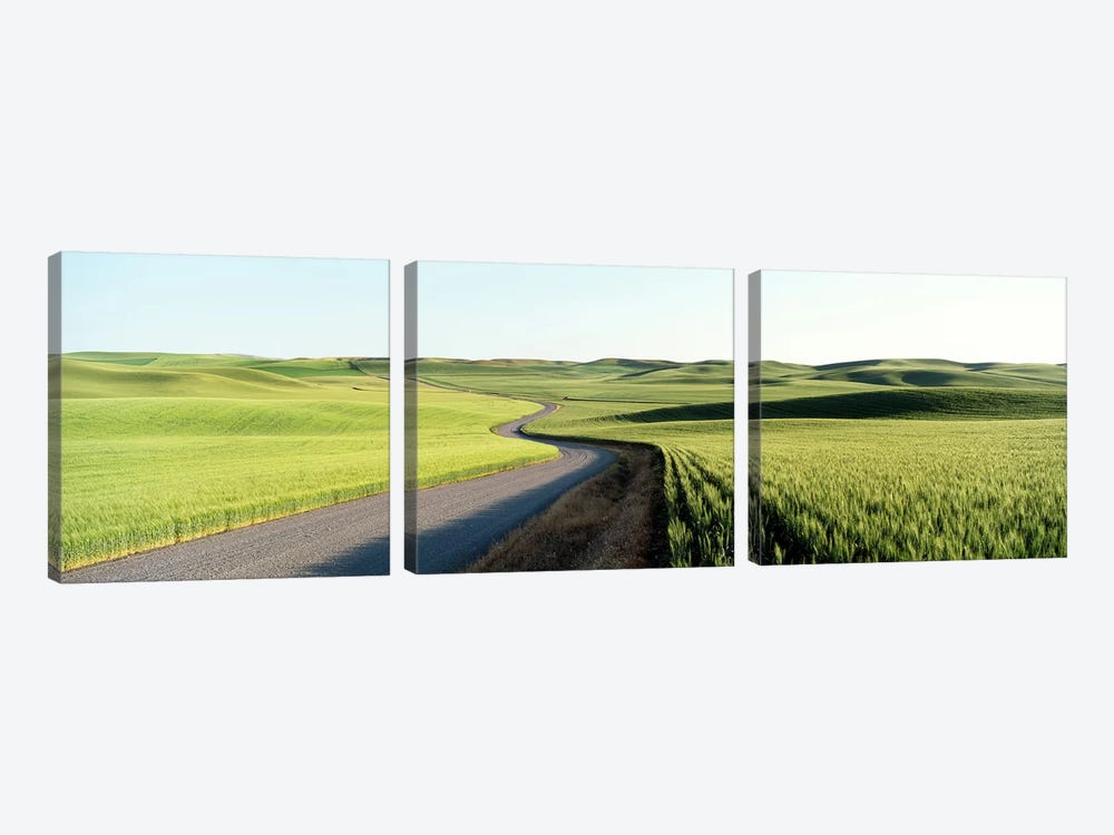 Gravel Road Through Barley and Wheat Fields WA by Panoramic Images 3-piece Art Print