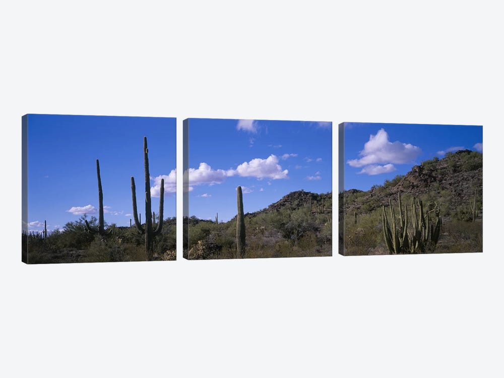 Desert Road AZ by Panoramic Images 3-piece Canvas Art Print