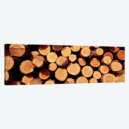 Logs Canvas Print #PIM4177} by Panoramic Images Canvas Wall Art