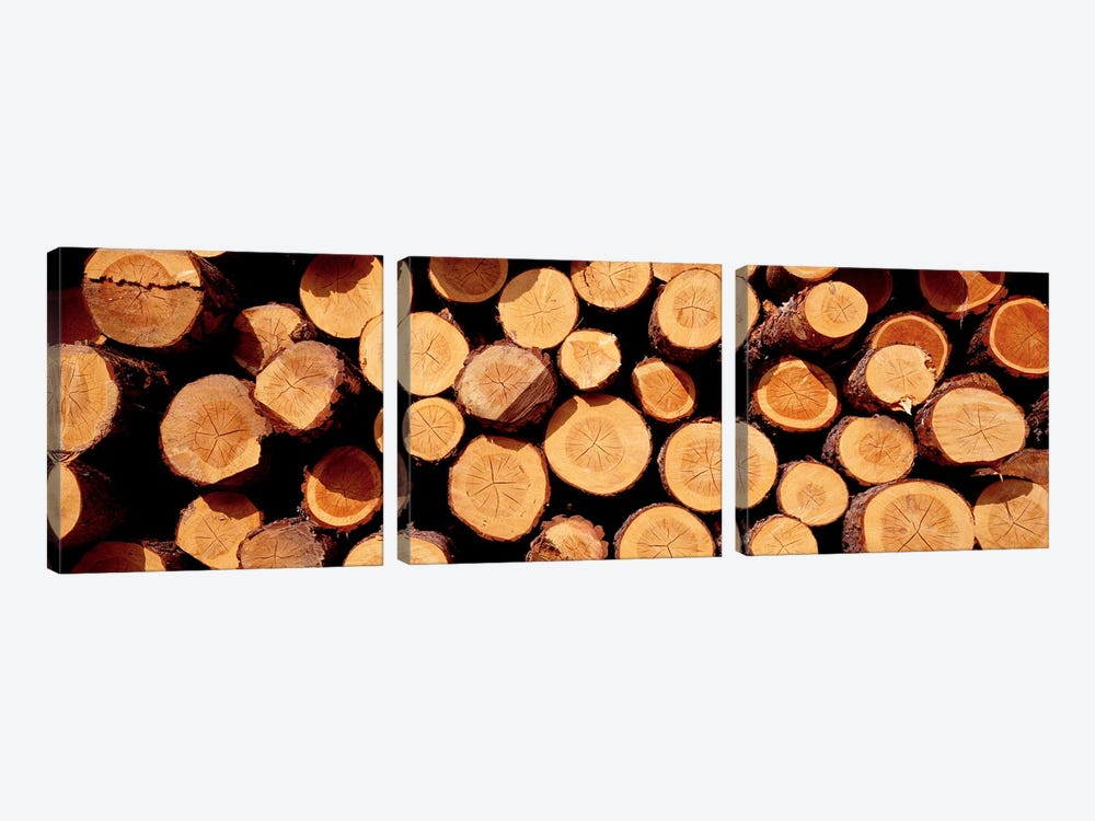 Logs by Panoramic Images 3-piece Canvas Print