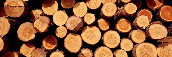 Still Life Photography: Logs by Panoramic Images