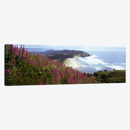 Coastal Landscape With Foxgloves In The Foreground As Seen From Cascade Head , Tillamook County, Oregon, USA Canvas Print #PIM4197} by Panoramic Images Canvas Artwork