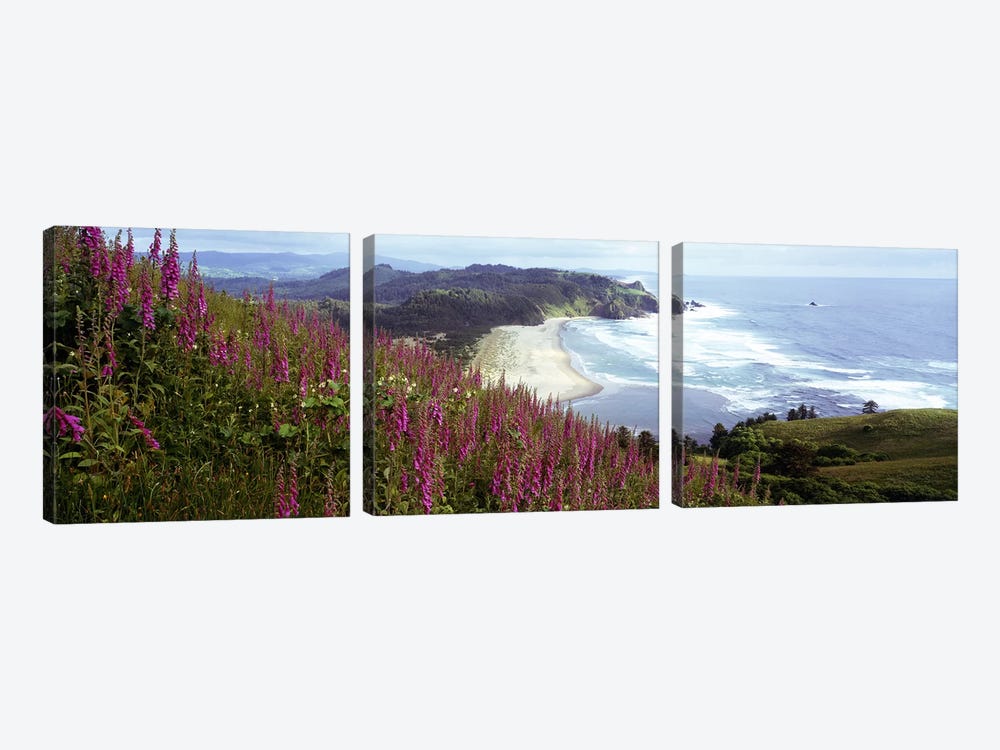 Coastal Landscape With Foxgloves In The Foreground As Seen From Cascade Head , Tillamook County, Oregon, USA by Panoramic Images 3-piece Art Print