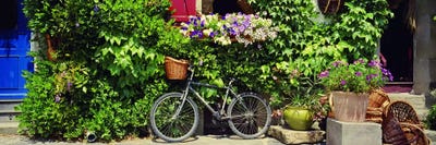 Bicycle Against A Wall Covered With Plants And Flowers, Rochefort-en-Terre, Brittany, France by Panoramic Images canvas print