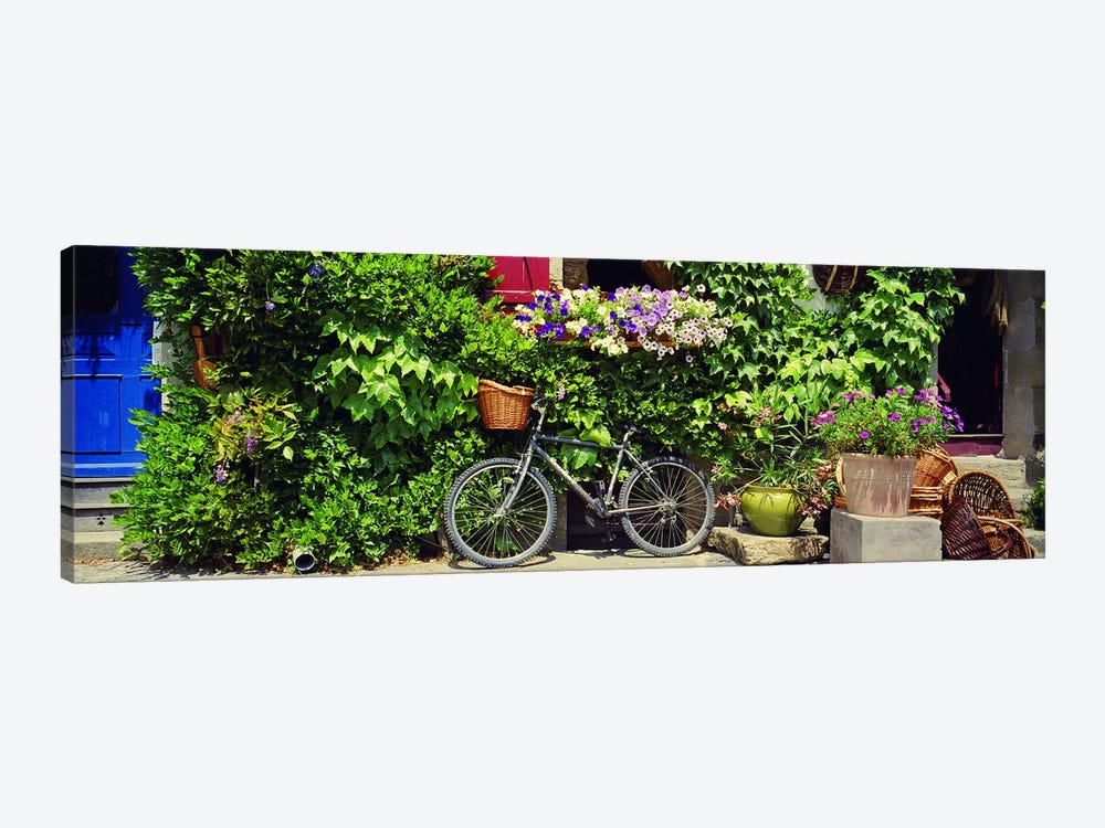 Bicycle Against A Wall Covered With Plants And Flowers, Rochefort-en-Terre, Brittany, France by Panoramic Images 1-piece Art Print