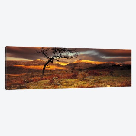 Mountain Landscape, Snowdonia National Park, Wales, United Kingdom Canvas Print #PIM4212} by Panoramic Images Canvas Wall Art