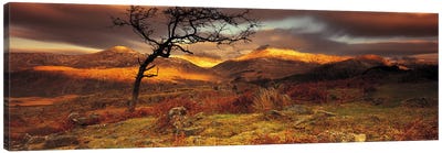 Mountain Landscape, Snowdonia National Park, Wales, United Kingdom Canvas Art Print - Wales