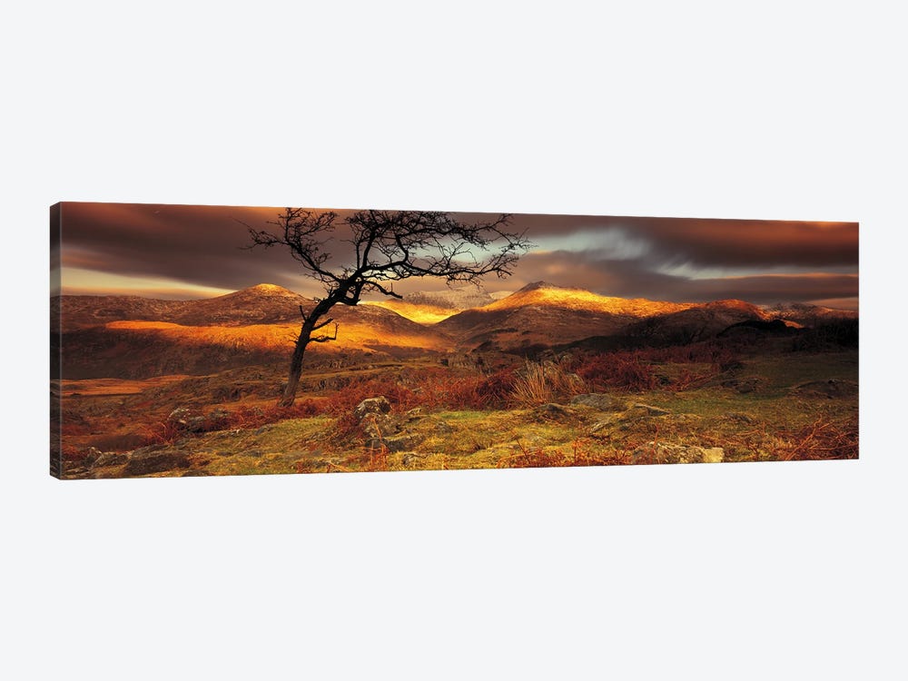 Mountain Landscape, Snowdonia National Park, Wales, United Kingdom by Panoramic Images 1-piece Canvas Wall Art