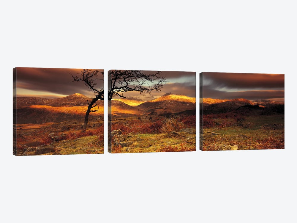 Mountain Landscape, Snowdonia National Park, Wales, United Kingdom by Panoramic Images 3-piece Canvas Art
