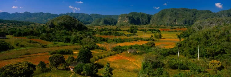 Tropical Karstic Landscape, Valle de Vinales, Pinar del Rio, Cuba by Panoramic Images wall art