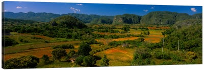 Tropical Karstic Landscape, Valle de Vinales, Pinar del Rio, Cuba Canvas Art Print - Cuba Art