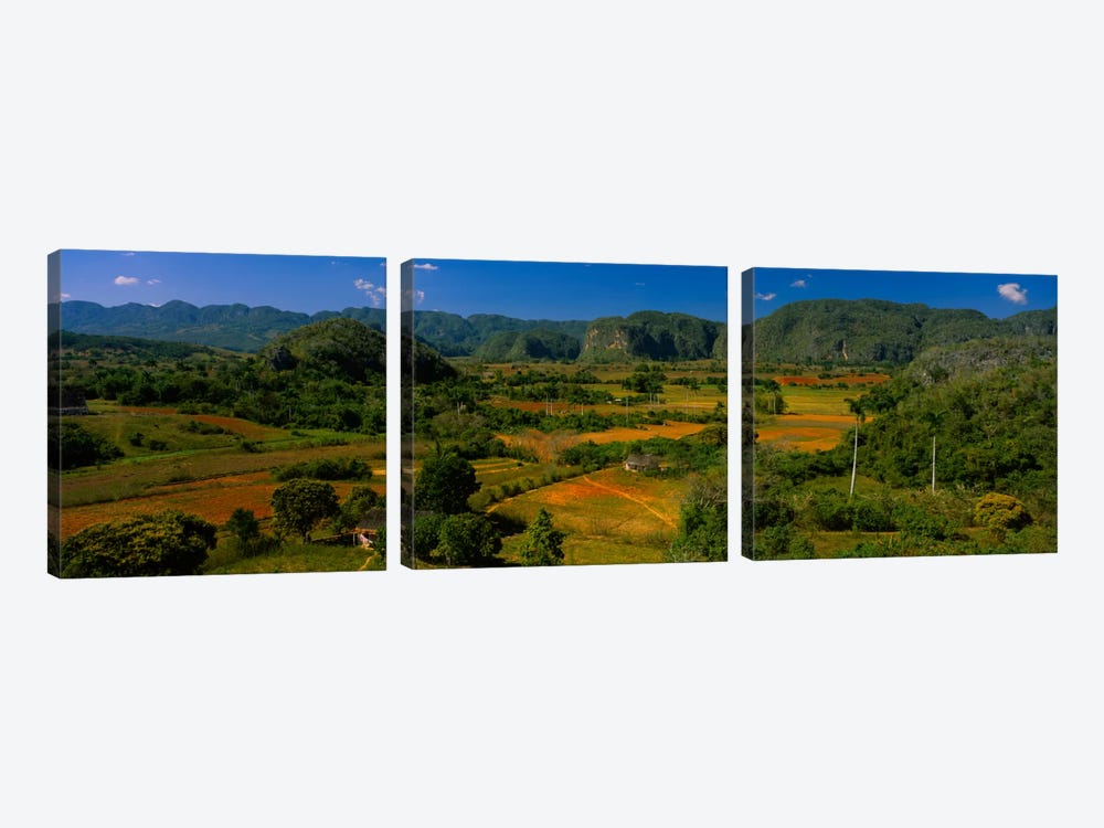 Tropical Karstic Landscape, Valle de Vinales, Pinar del Rio, Cuba by Panoramic Images 3-piece Canvas Print