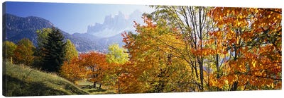 Autumn Landscape II, Odle/Geisler Group, Dolomites, Val di Funes, South Tyrol Province, Italy Canvas Art Print