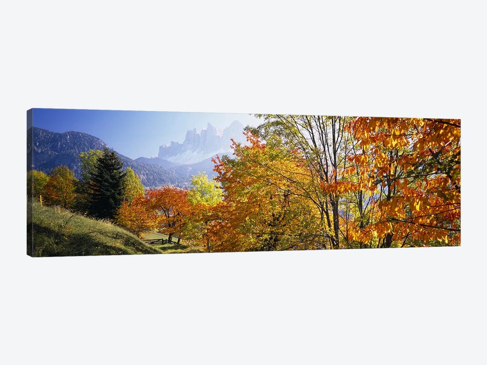 Autumn Landscape II, Odle/Geisler Group, Dolomites, Val di Funes, South Tyrol Province, Italy by Panoramic Images 1-piece Canvas Art