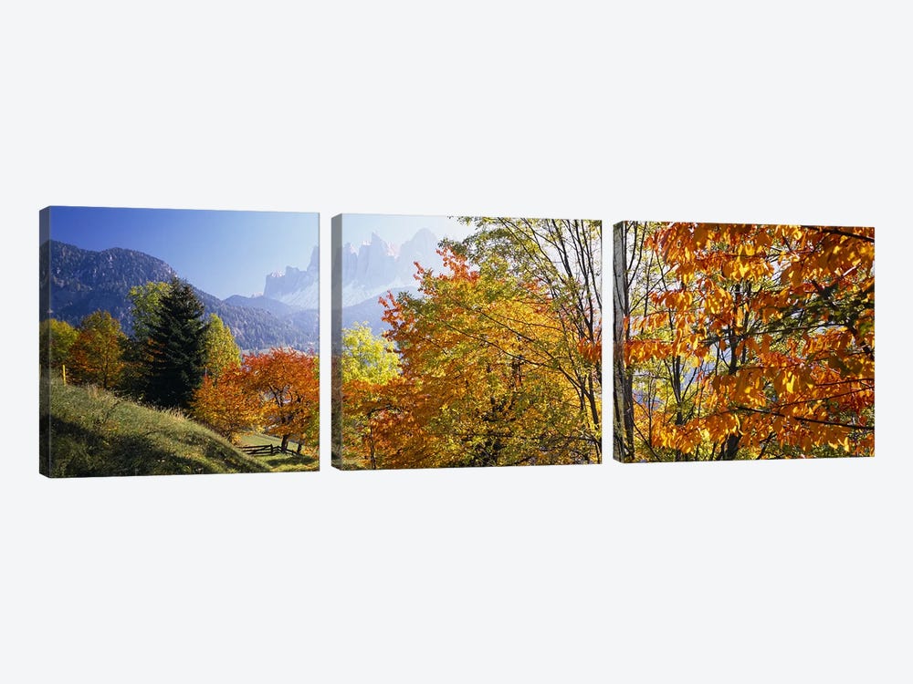 Autumn Landscape II, Odle/Geisler Group, Dolomites, Val di Funes, South Tyrol Province, Italy by Panoramic Images 3-piece Canvas Artwork