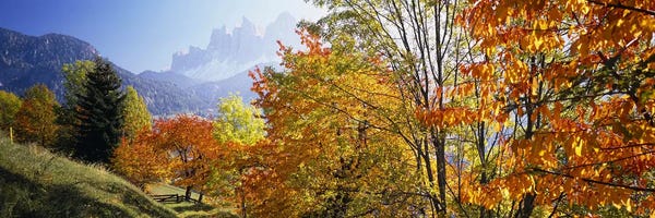 Trentino-South Tyrol: Autumn Landscape II, Odle/Geisler Group, Dolomites, Val di Funes, South Tyrol Province, Italy by Panoramic Images