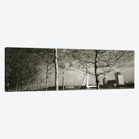 Erasmus Bridge Seen Through Tree Branches In B&W, Rotterdam, South Holland, Netherlands Canvas Print #PIM4250} by Panoramic Images Canvas Wall Art