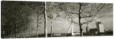 Erasmus Bridge Seen Through Tree Branches In B&W, Rotterdam, South Holland, Netherlands Canvas Art Print - Netherlands Art
