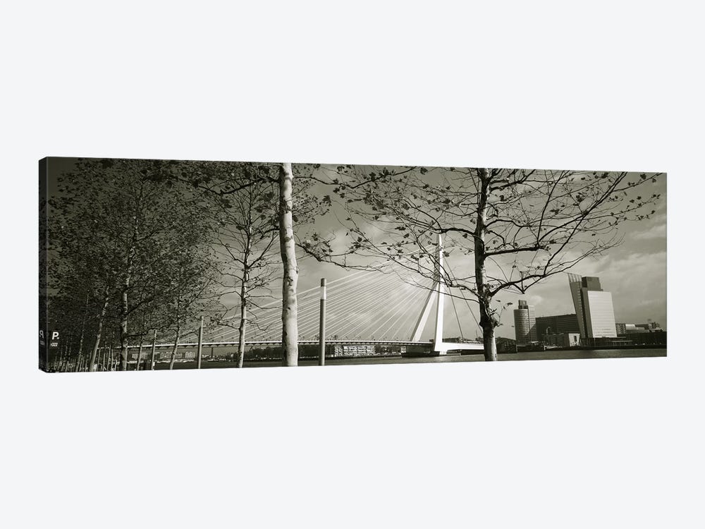 Erasmus Bridge Seen Through Tree Branches In B&W, Rotterdam, South Holland, Netherlands by Panoramic Images 1-piece Canvas Artwork
