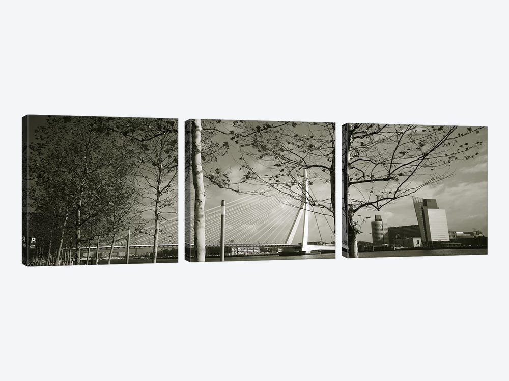 Erasmus Bridge Seen Through Tree Branches In B&W, Rotterdam, South Holland, Netherlands by Panoramic Images 3-piece Canvas Artwork