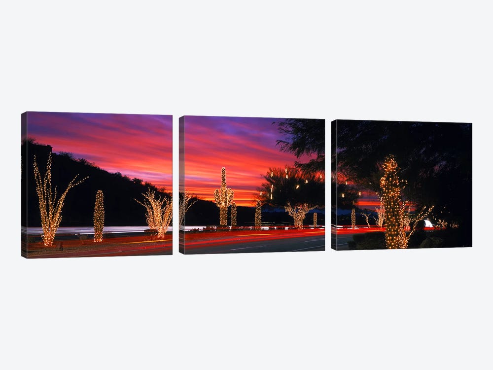 Christmas Lights On Roadside Cacti & Trees, Phoenix, Arizona, USA by Panoramic Images 3-piece Canvas Art
