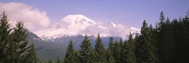 Mt Ranier Mt Ranier National Park WA