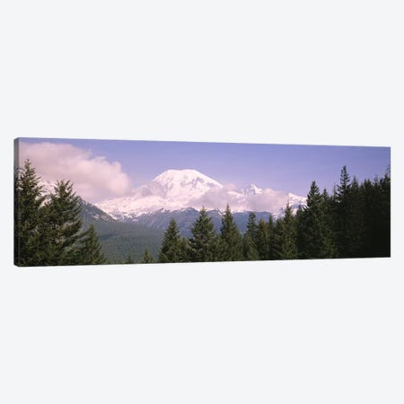 Mt Ranier Mt Ranier National Park WA Canvas Print #PIM4266} by Panoramic Images Canvas Wall Art