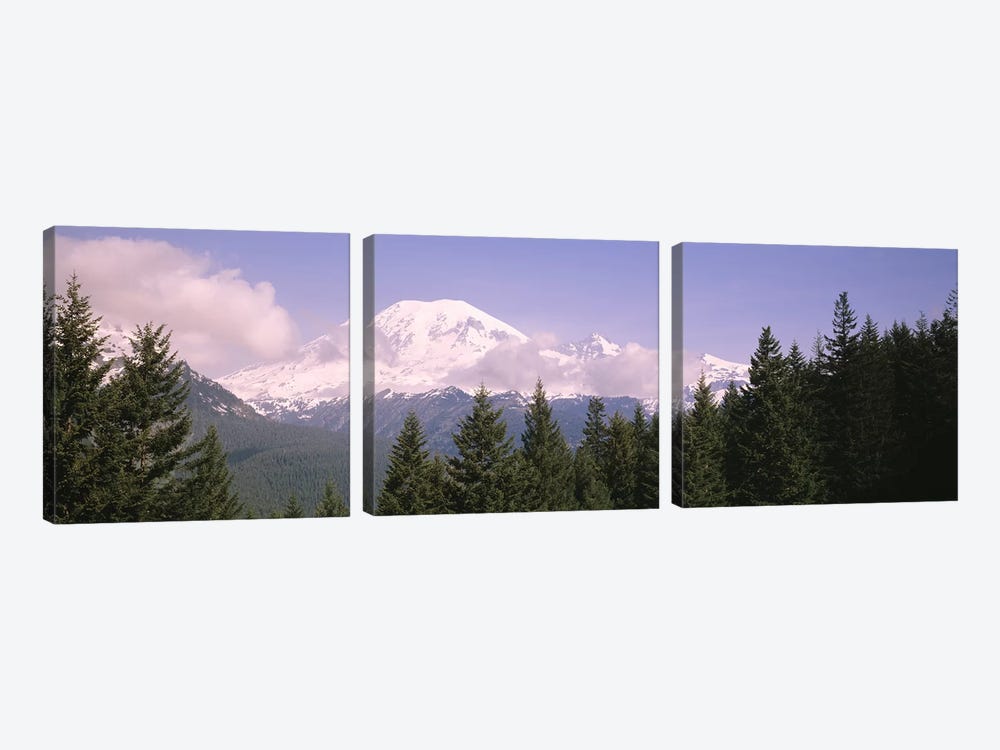 Mt Ranier Mt Ranier National Park WA by Panoramic Images 3-piece Canvas Art Print