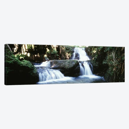Waterfalls Hilo HI Canvas Print #PIM4267} by Panoramic Images Canvas Artwork