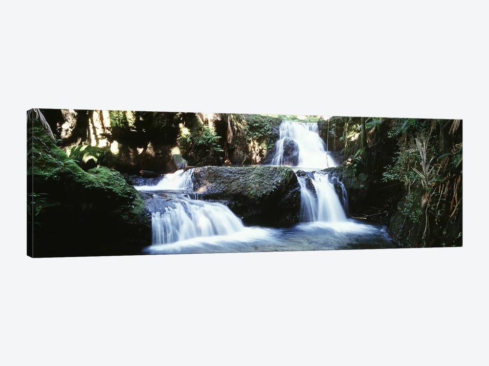 Waterfalls Hilo HI by Panoramic Images 1-piece Canvas Artwork