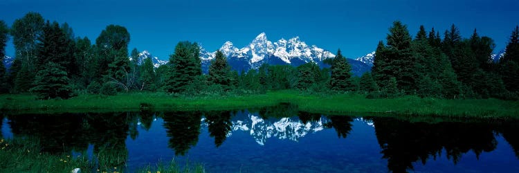 Snake River & Teton Range Grand Teton National Park WY USA by Panoramic Images wall art