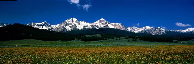 Sawtooth Mtns Range Stanley ID USA