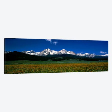 Sawtooth Mtns Range Stanley ID USA Canvas Print #PIM427} by Panoramic Images Canvas Print