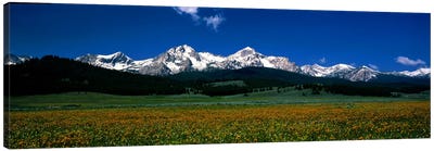 Sawtooth Mtns Range Stanley ID USA Canvas Art Print - Rocky Mountain Art