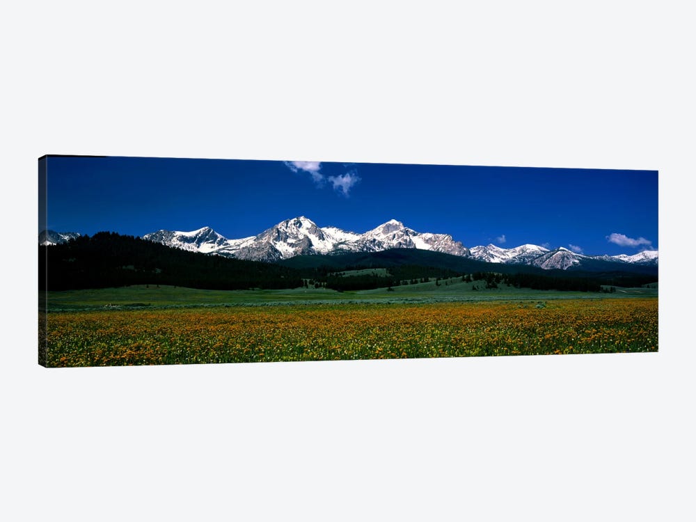 Sawtooth Mtns Range Stanley ID USA by Panoramic Images 1-piece Canvas Wall Art