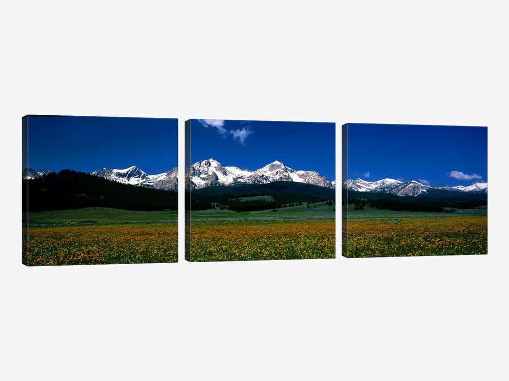 Sawtooth Mtns Range Stanley ID USA by Panoramic Images 3-piece Canvas Wall Art