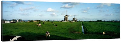 Windmills, Netherlands Canvas Art Print - Field, Grassland & Meadow Art